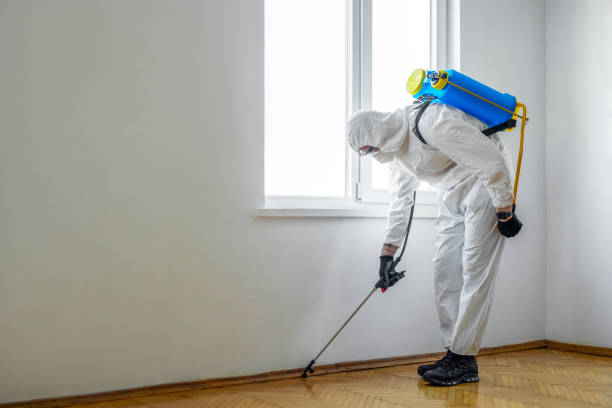 Reliable Lawton, IA Pest Control Solutions